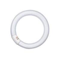 OSRAM fluorescent tube G10 ring tube 2250lm 32 Watt / 840 Ø305mm