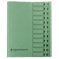 Bene folder 083800GN DIN A4 12 compartments PVC green