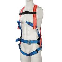 Safety and retaining harness, 4-point system